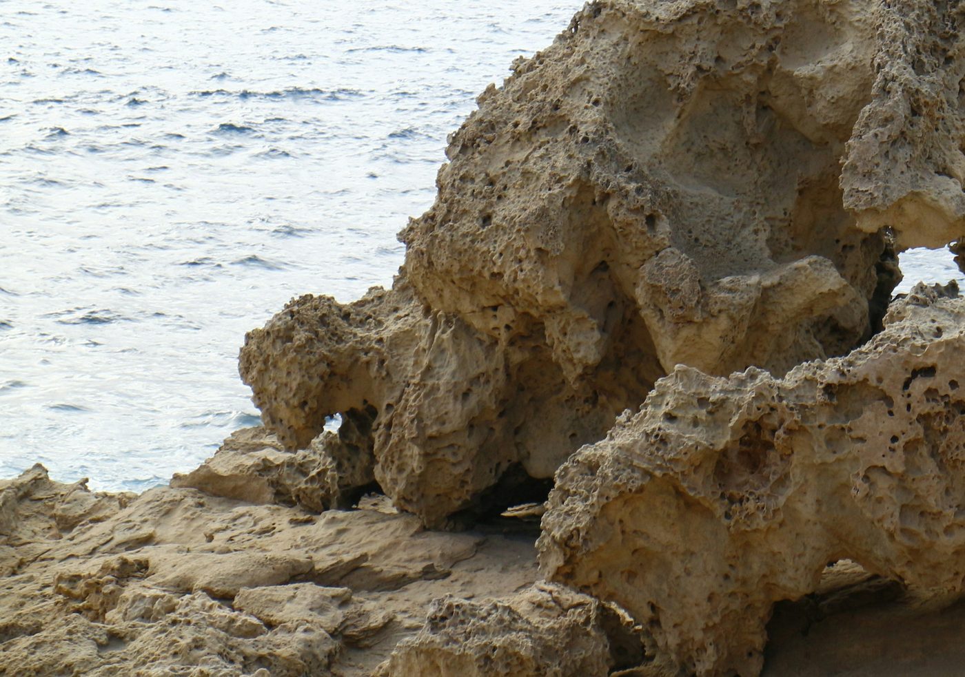 Weathered limestone on the Cyprus coast